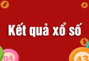 Kết quả xổ số Thái Bình 17-11-2024